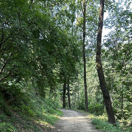 베르가모 Il Giardino Di Berbech Citta Alta-Ulivo 아파트 외부 사진