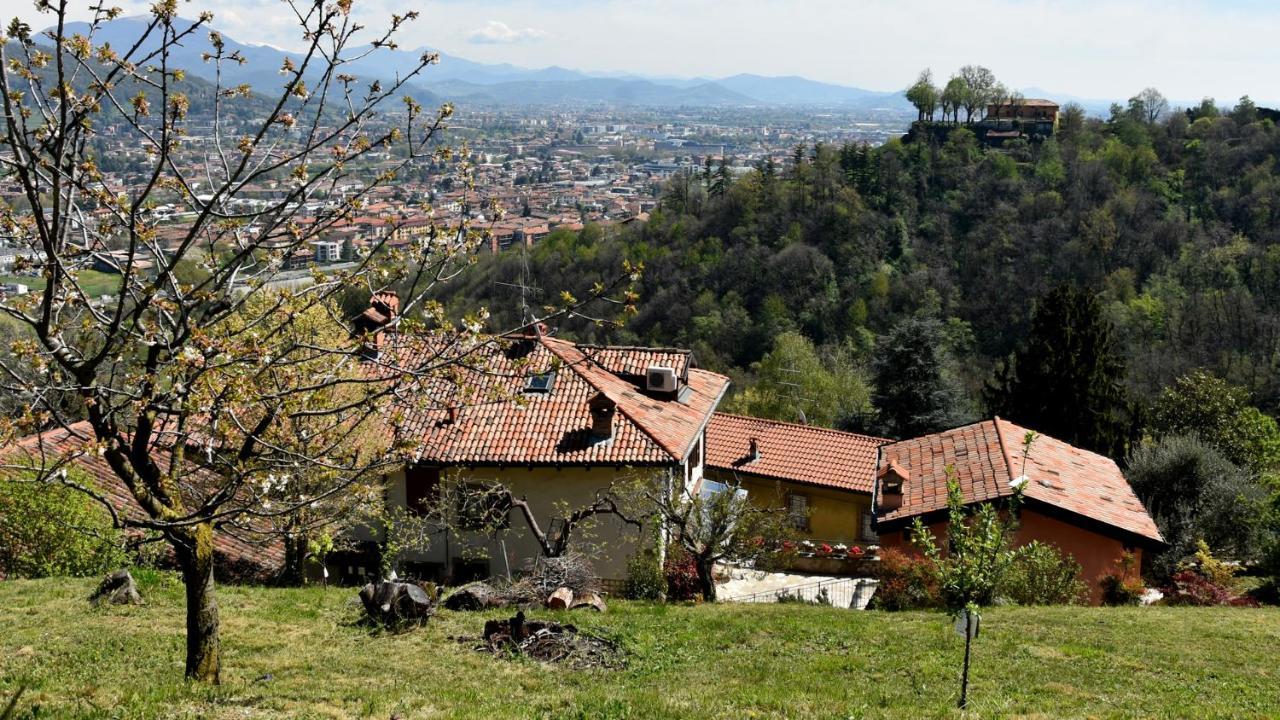 베르가모 Il Giardino Di Berbech Citta Alta-Ulivo 아파트 외부 사진