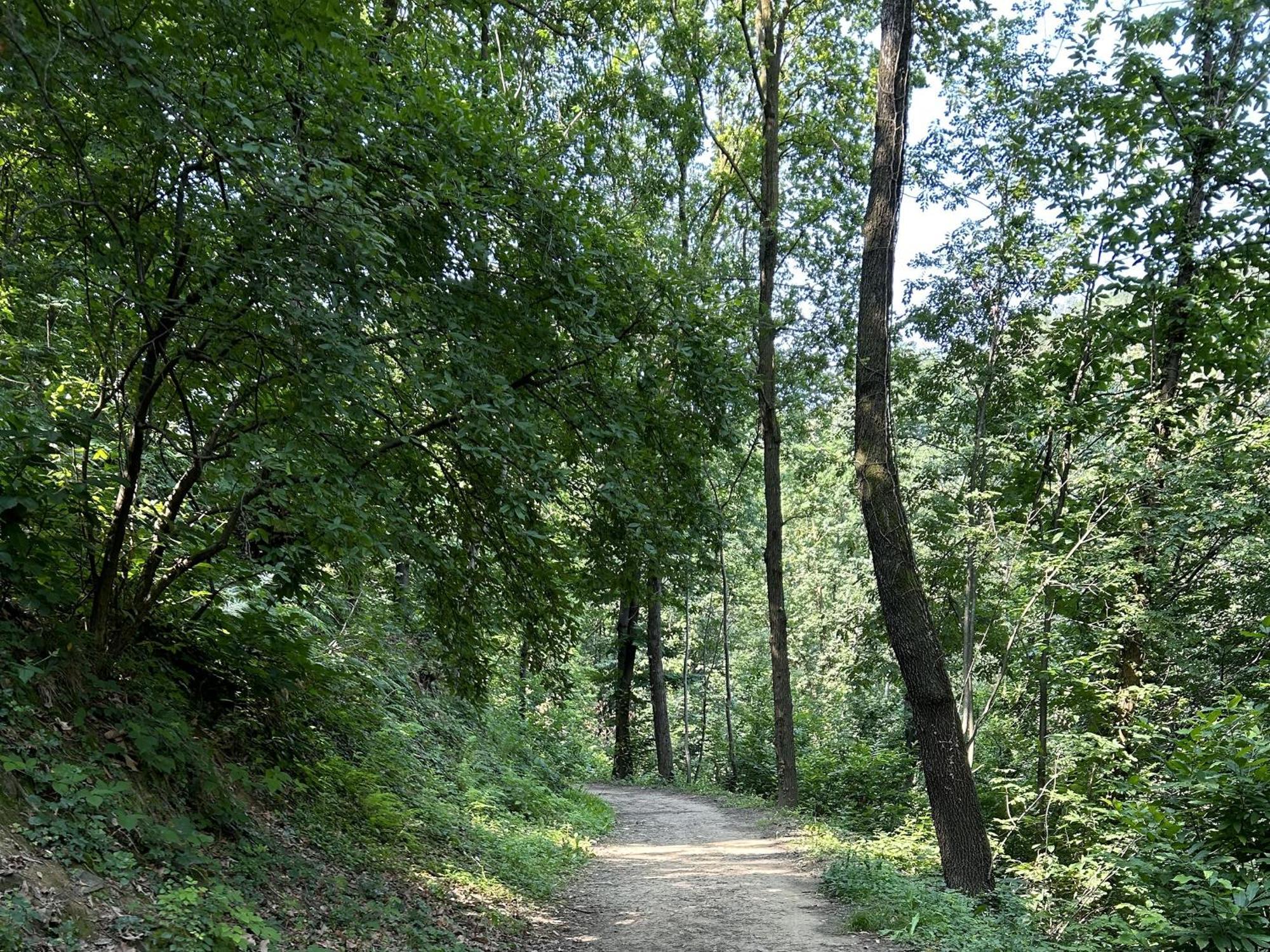 베르가모 Il Giardino Di Berbech Citta Alta-Ulivo 아파트 외부 사진